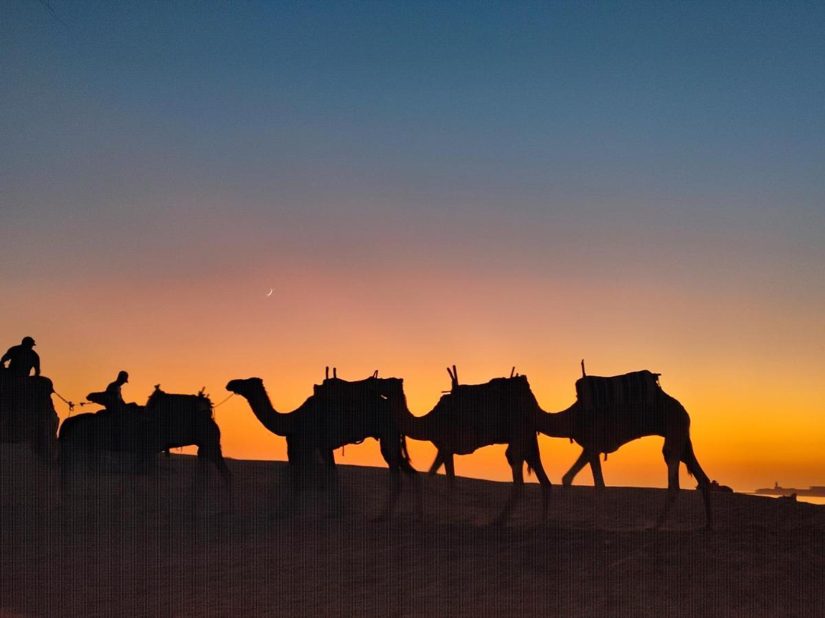 Riad Bini-Ddik Suvayr Dış mekan fotoğraf